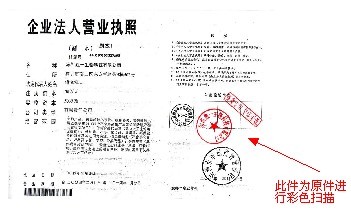 钟村网站建设 营业执照范本